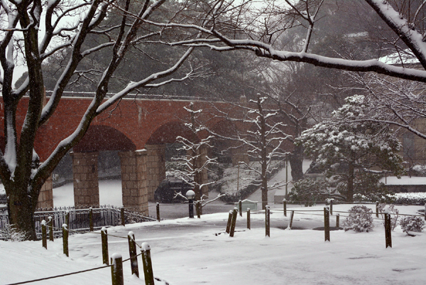 140208 snow 3 DSC_0058.jpg